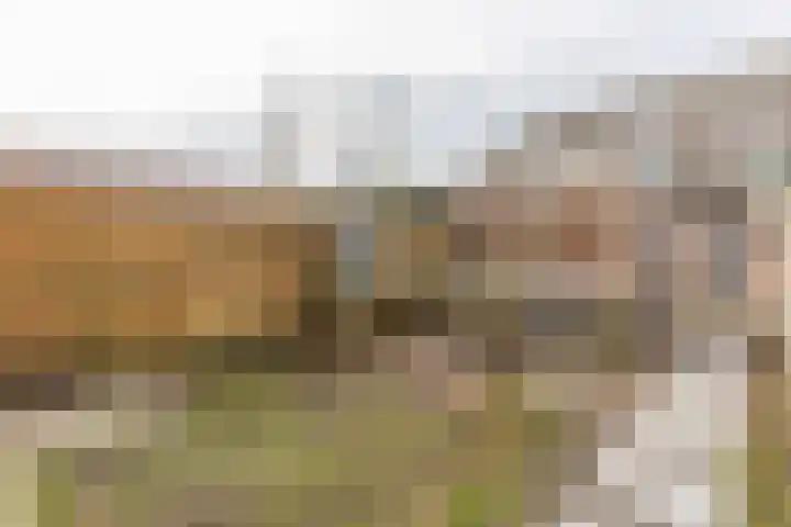 Landscheijding 19 Lopik thumbnail 44