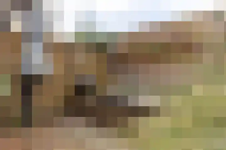 Landscheijding 19 Lopik thumbnail 46
