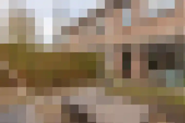 Landscheijding 19 Lopik thumbnail 47