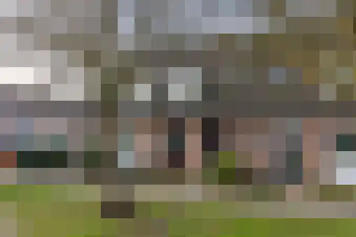 Landscheijding 19 Lopik thumbnail 50