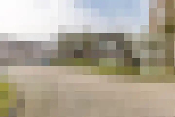 Landscheijding 19 Lopik thumbnail 51
