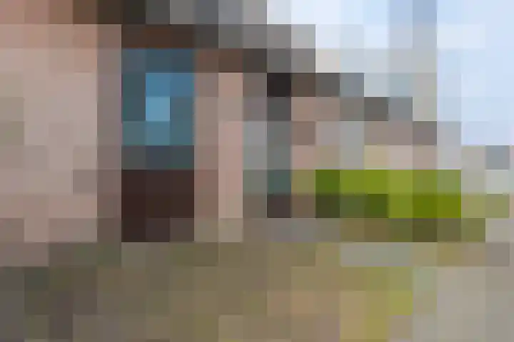Landscheijding 19 Lopik thumbnail 6