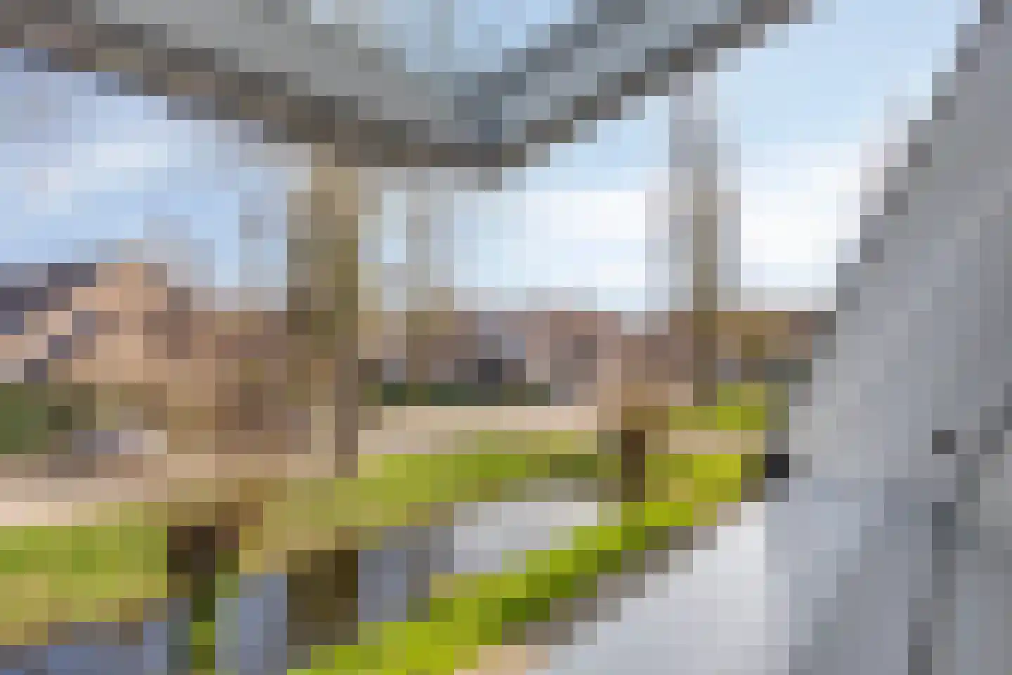 Landscheijding 29 Lopik thumbnail 35
