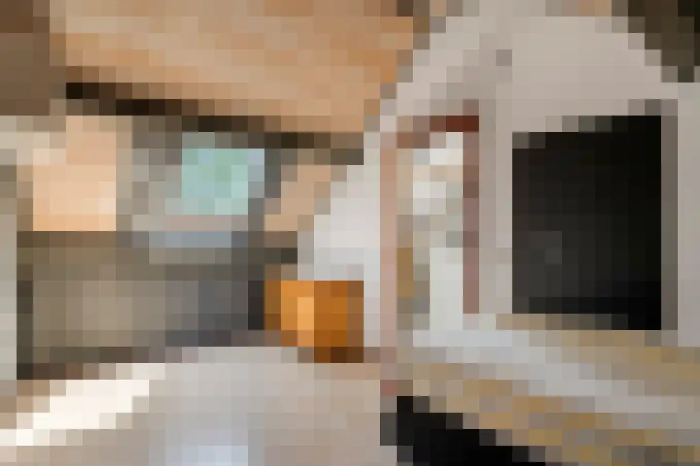 Landscheijding 67 Lopik thumbnail 25