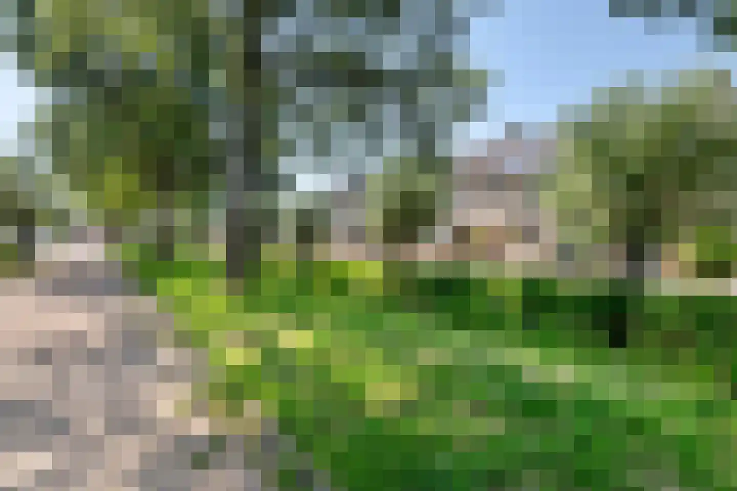 Landscheijding 67 Lopik thumbnail 32