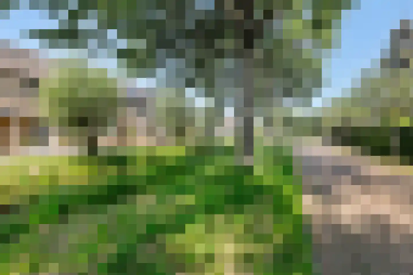 Landscheijding 67 Lopik thumbnail 33