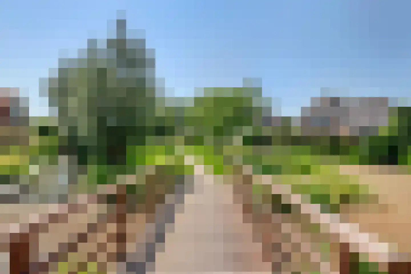 Landscheijding 67 Lopik thumbnail 34