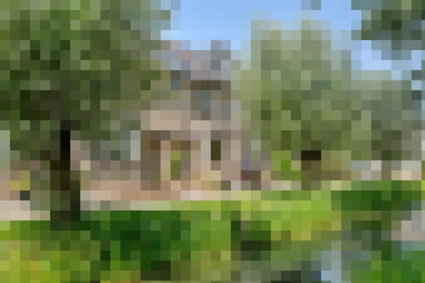 Landscheijding 67 Lopik thumbnail 4