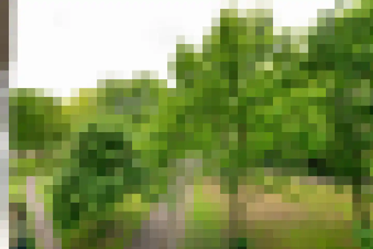 Landschot 102 Haarlem thumbnail 17