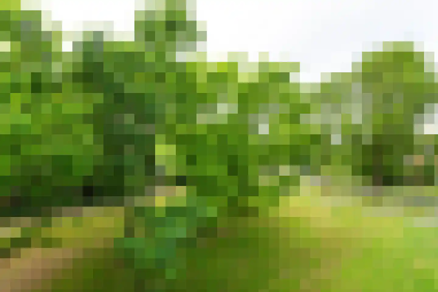 Landschot 102 Haarlem thumbnail 18