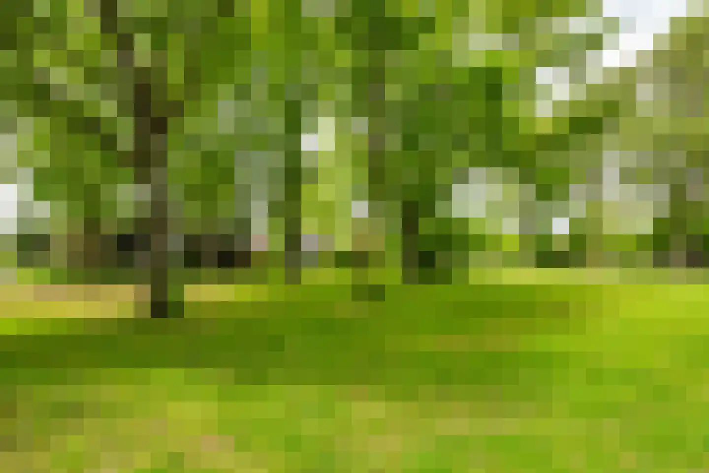 Landschot 102 Haarlem thumbnail 21