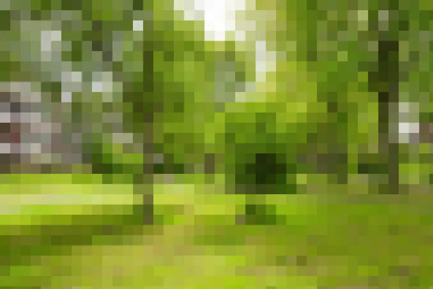 Landschot 102 Haarlem thumbnail 22