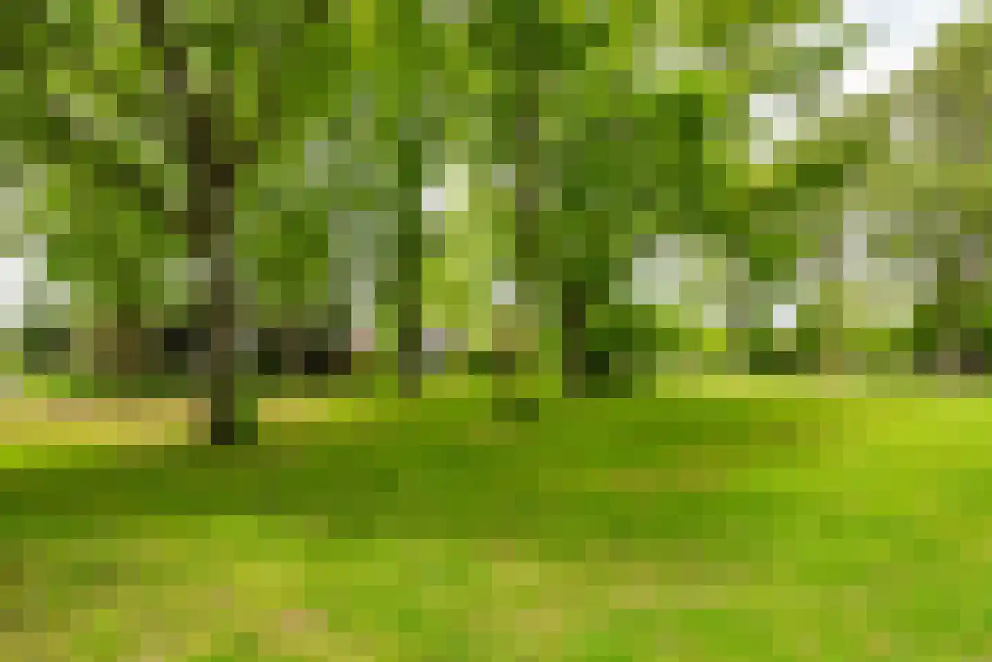 Landschot 102 Haarlem thumbnail 22