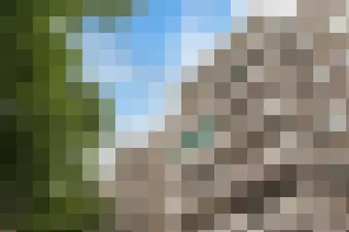 Landschot 134 Haarlem thumbnail 27