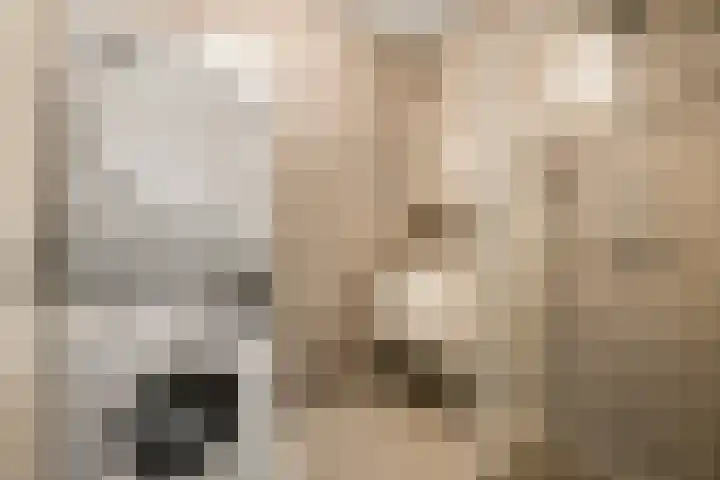 Landschot 20 Haarlem thumbnail 15