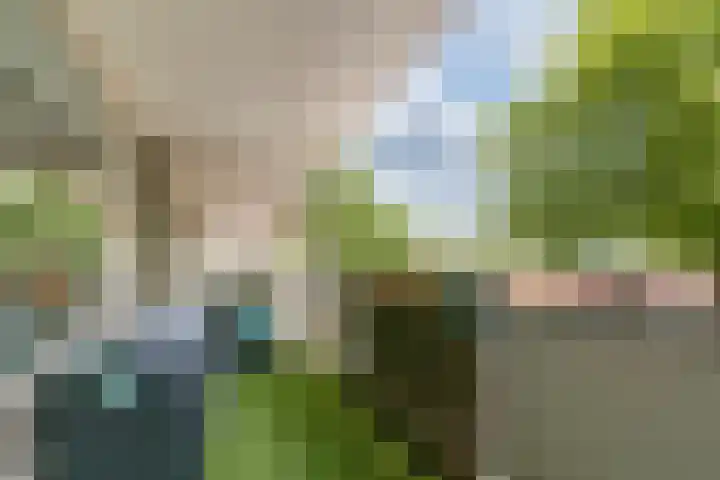 Landschot 20 Haarlem thumbnail 4