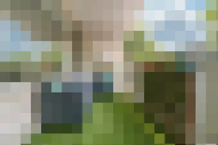Landschot 20 Haarlem thumbnail 5