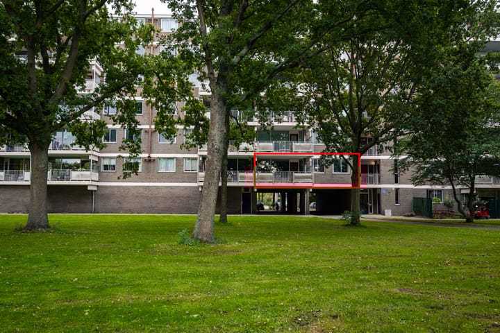 Landschot 26 dans Haarlem photo