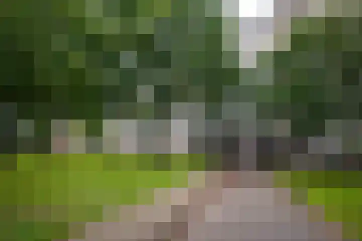 Landschot 26 Haarlem thumbnail 15
