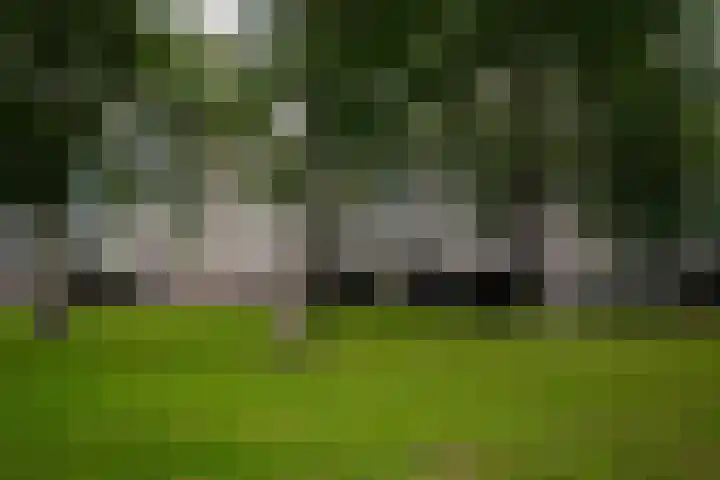 Landschot 26 Haarlem thumbnail 16