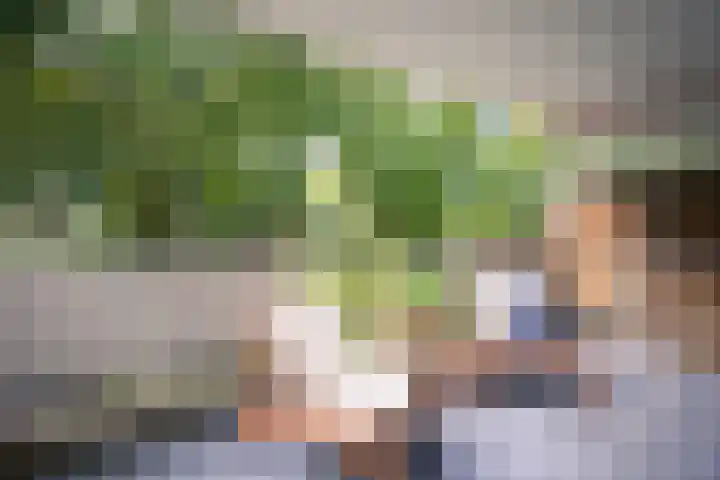 Landschot 26 Haarlem thumbnail 4