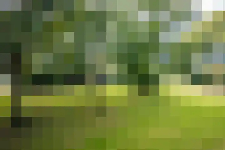 Landschot 26 Haarlem thumbnail 5