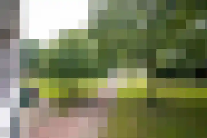 Landschot 26 Haarlem thumbnail 6