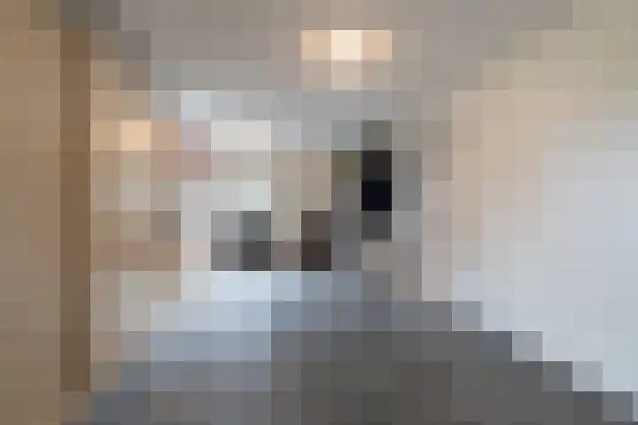 Landschrijverlaan 1 Rolde thumbnail 16