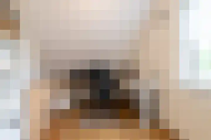 Landschrijverlaan 1 Rolde thumbnail 21