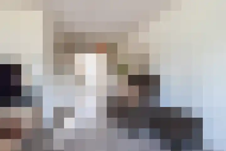 Landschrijverlaan 1 Rolde thumbnail 6