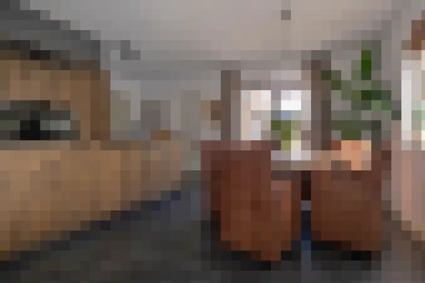 Landschrijverlaan 40 Rolde thumbnail 16