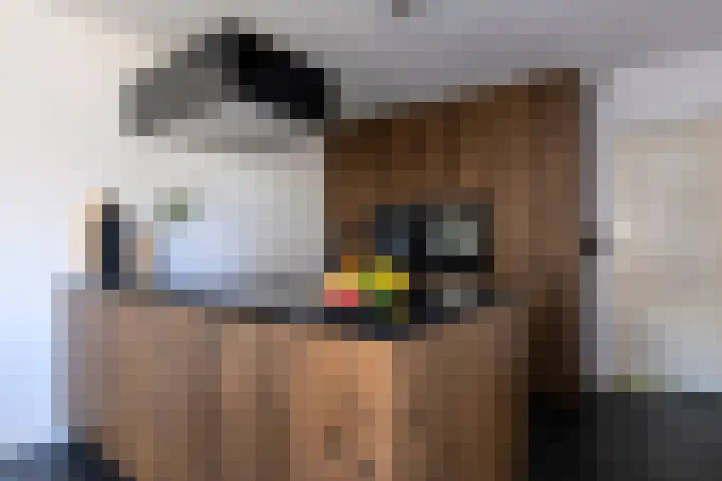 Landschrijverlaan 40 Rolde thumbnail 17