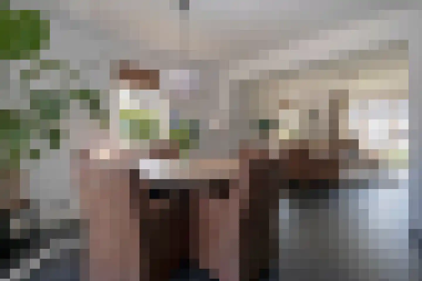 Landschrijverlaan 40 Rolde thumbnail 19