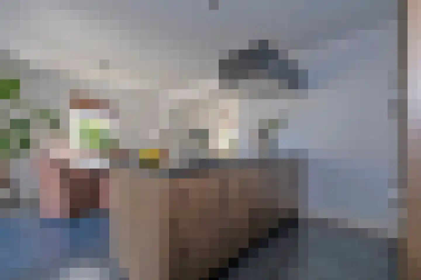 Landschrijverlaan 40 Rolde thumbnail 21