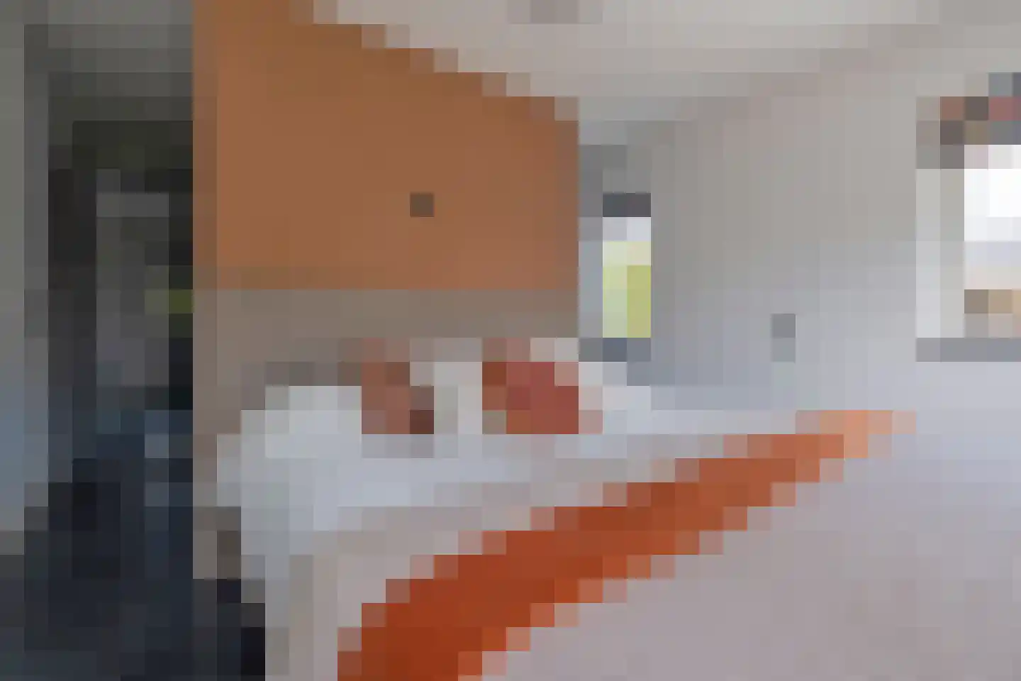 Landschrijverlaan 40 Rolde thumbnail 24