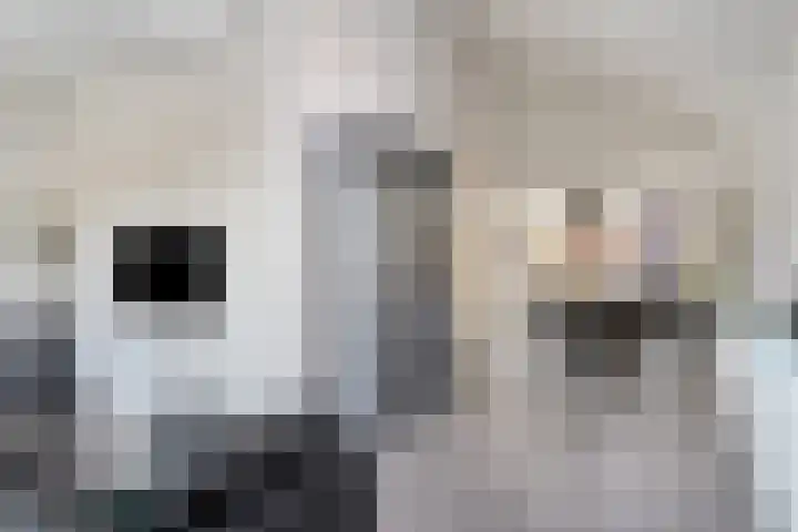 Landschrijversveld 115 Uden thumbnail 11