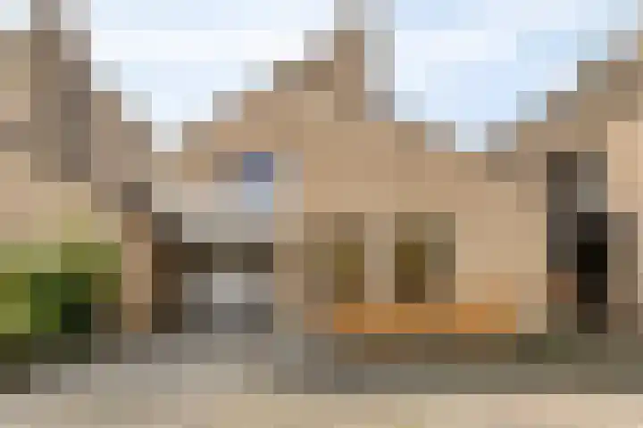 Landschrijversveld 115 Uden foto 2