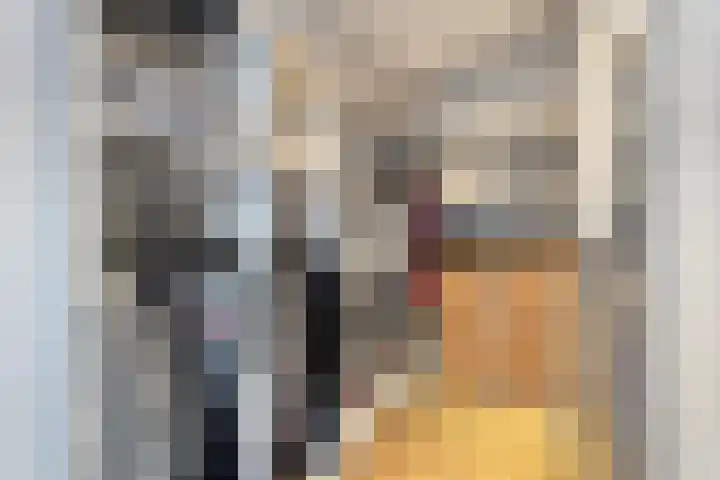Landschrijversveld 115 Uden thumbnail 22