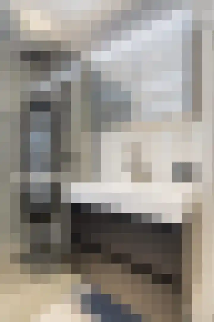 Landschrijversveld 115 Uden thumbnail 32