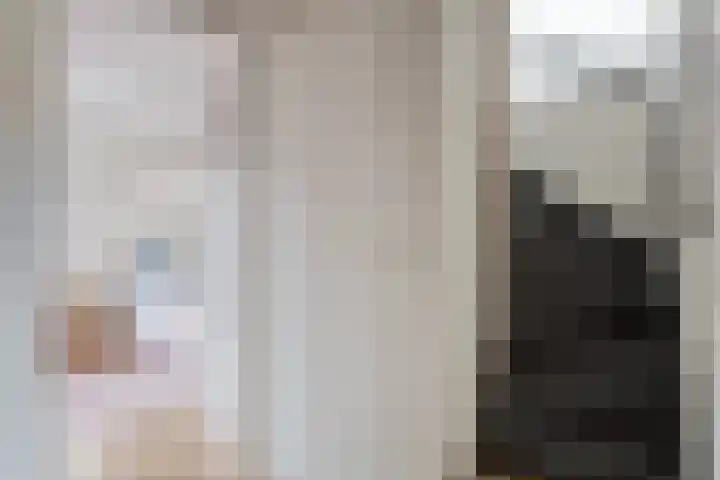 Landschrijversveld 115 Uden thumbnail 34