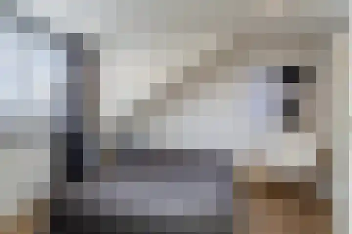 Landschrijversveld 115 Uden thumbnail 35