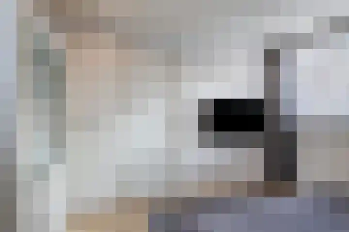 Landschrijversveld 115 Uden thumbnail 36
