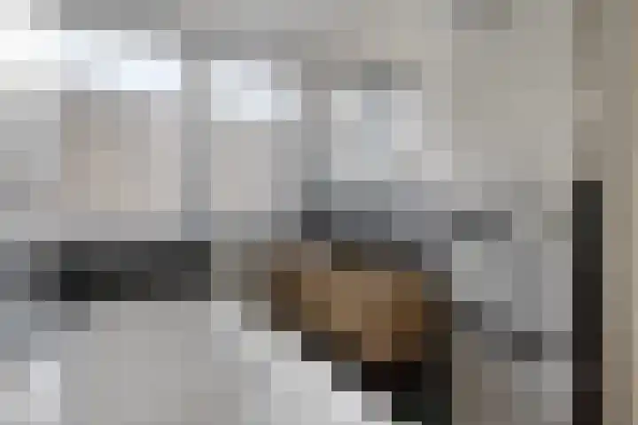 Landschrijversveld 115 Uden thumbnail 38