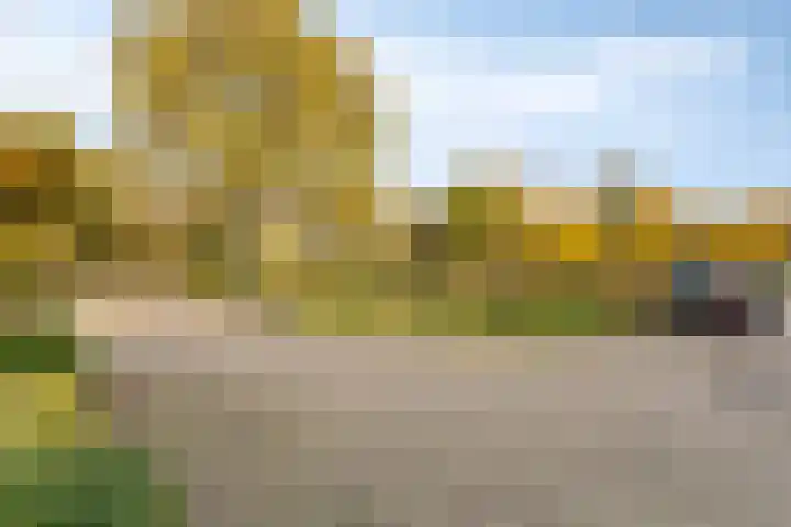 Landschrijversveld 115 Uden thumbnail 4