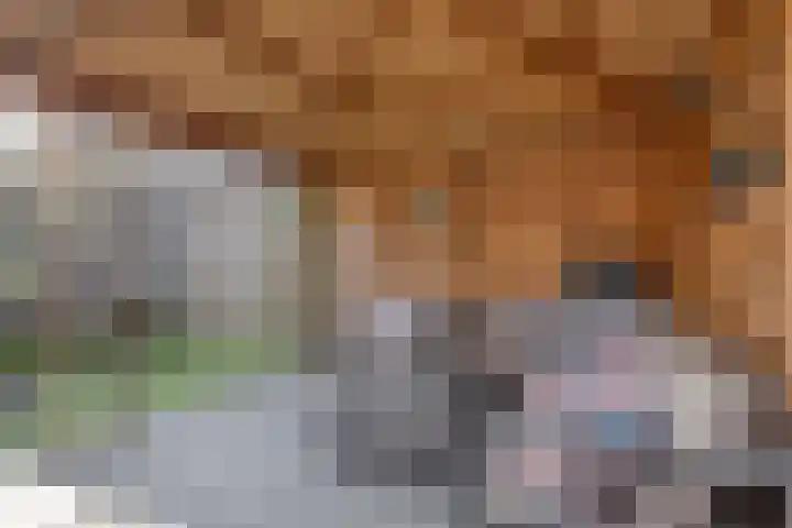 Landschrijversveld 115 Uden thumbnail 47