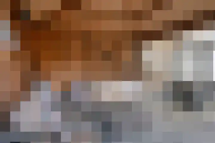 Landschrijversveld 115 Uden thumbnail 48