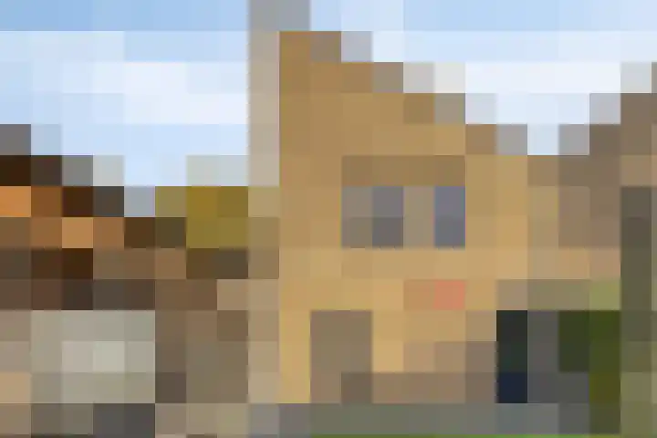 Landschrijversveld 115 Uden thumbnail 49