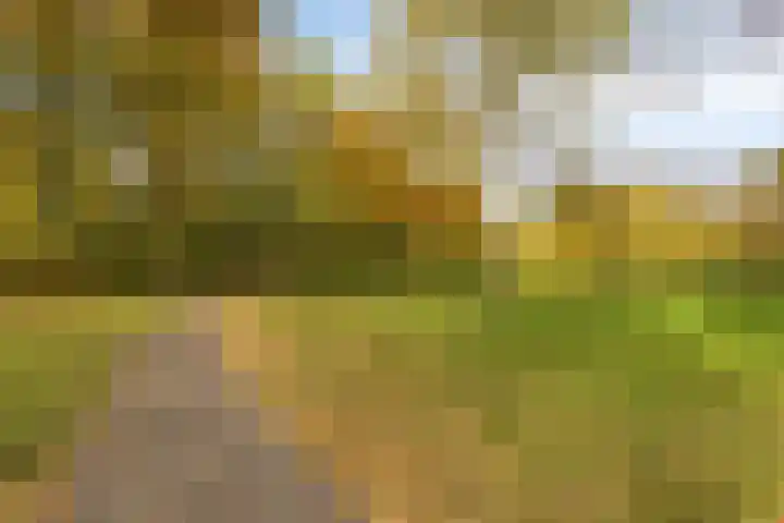 Landschrijversveld 115 Uden thumbnail 51