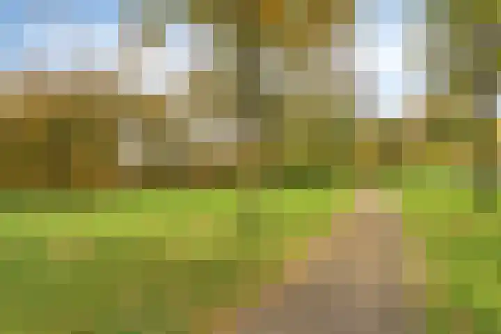 Landschrijversveld 115 Uden thumbnail 52