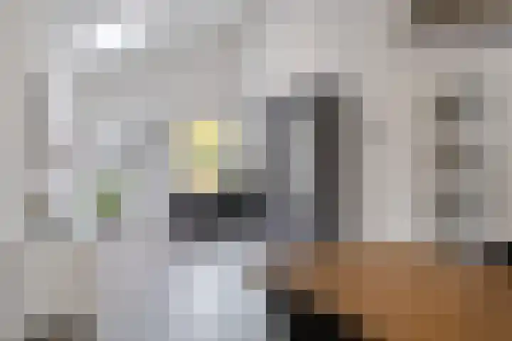 Landschrijversveld 115 Uden thumbnail 8